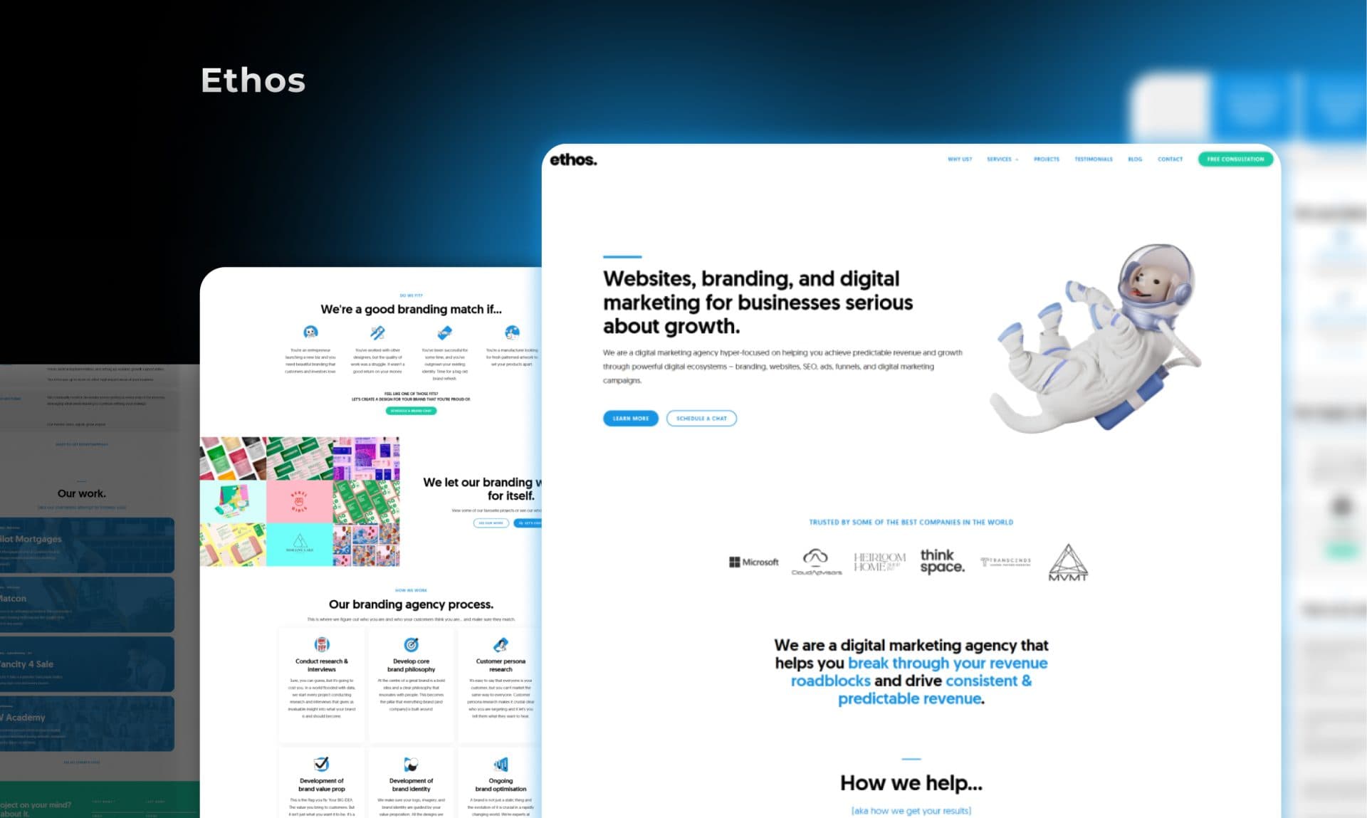 Ethos brand platform portfolio screenshot