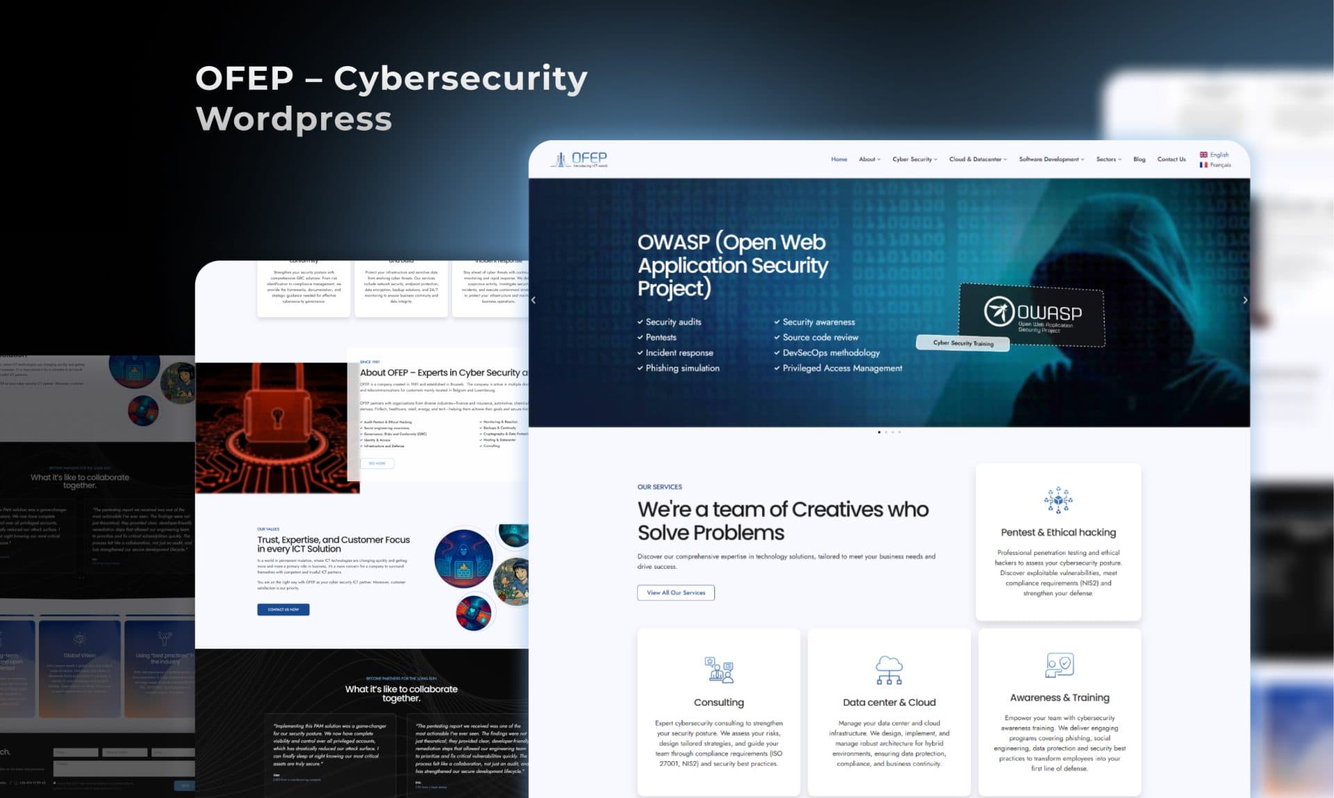 OFEP Cybersecurity web application portfolio screenshot