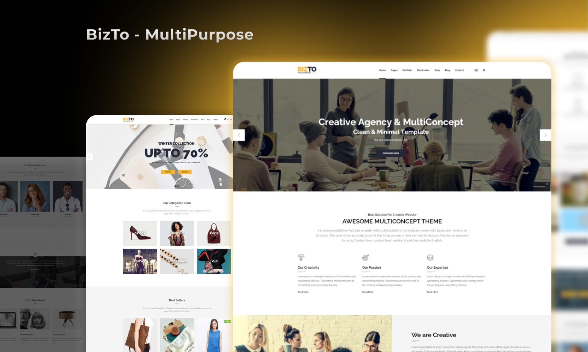 BizTo MultiPurpose portfolio screenshot