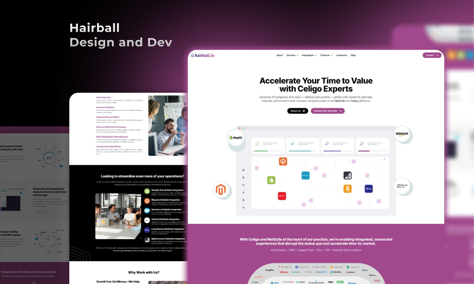 Hairball website portfolio screenshot